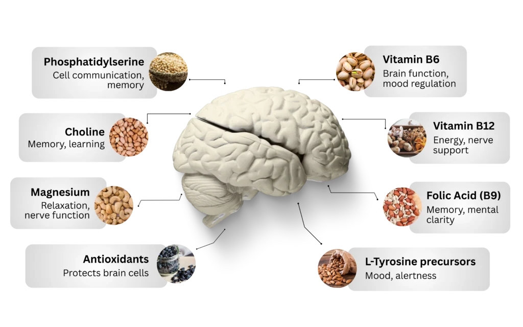 Indredients Neuroxen